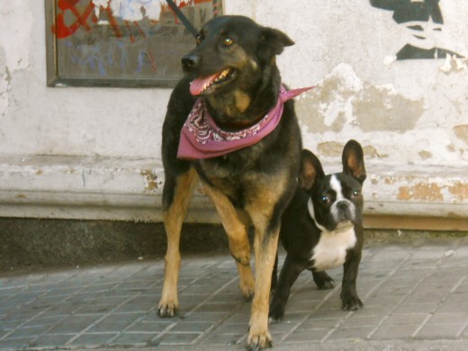 francklin y su amiga negra 